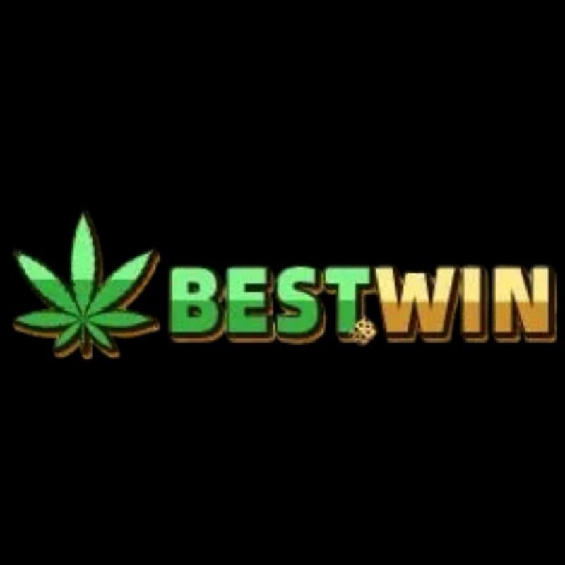 bestwininfo's avatar