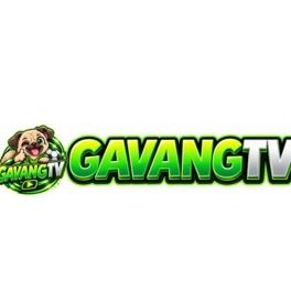 gavangtvltd's avatar