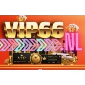 vip66nl's avatar