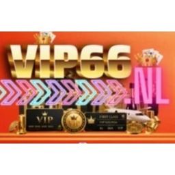 vip66nl's avatar