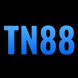 stn88net's avatar
